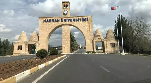 The prostitution allegation that has stirred up Harran University.