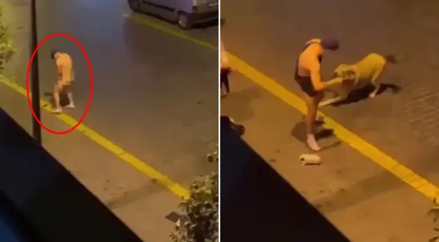 Antalya'da yabancı uyruklu 2 şahıs sokak köpeğine tecavüz etmeye kalkıştı. 

ترجمة: حاول شخصان من جنسية أجنبية في أنطاليا الاعتداء على كلب شارع.