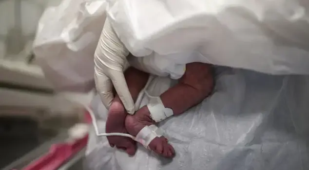 The conversations of the newborn gang in the indictment: 