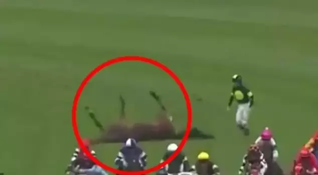 The heroic jockey risked his life to help his horse that fell during the race.