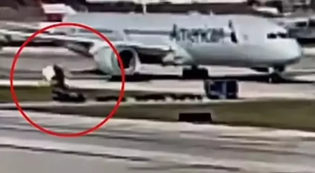 In the United States, the engine of a plane waiting on the tarmac swallowed and shredded a baggage cart.