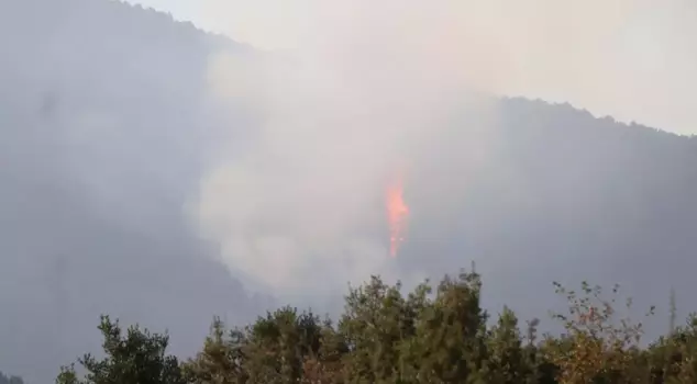 The forest fire in Denizli has entered its fourth day.