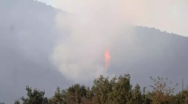 The forest fire in Denizli has been brought under control.