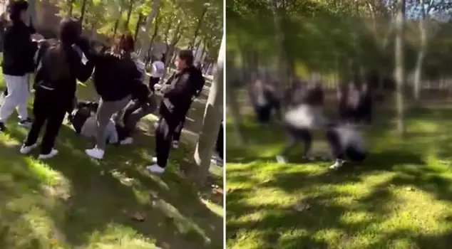 High school students beat up their friends, kicking and punching them until they passed out.