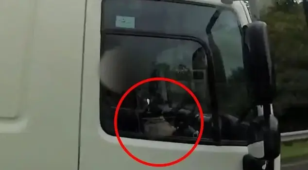 A truck driver was caught by the police while eating with a spoon at high speed on the highway.