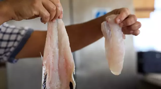 Warning about the poisonous pufferfish sold as 'mezgit' in Antalya.