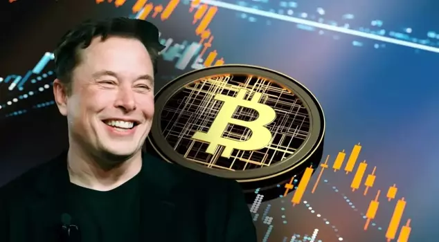 Crypto-friendly Elon Musk has added to his wealth.