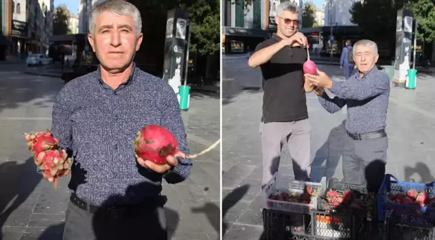 Trump celebrated his election victory by distributing free radishes and dragon fruit.