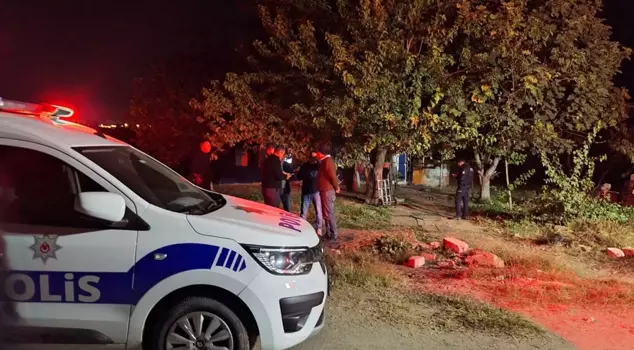 Электрической печи, перевернувшейся, в результате пожара погибли 5 братьев.