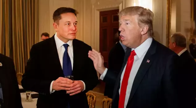 Donald Trump announced that Elon Musk will be in his cabinet: Dogecoin price skyrocketed.