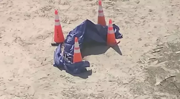 A severed human head was found on the beach.