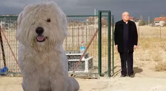 He bought a plot of land and had a grave made for his deceased dog.