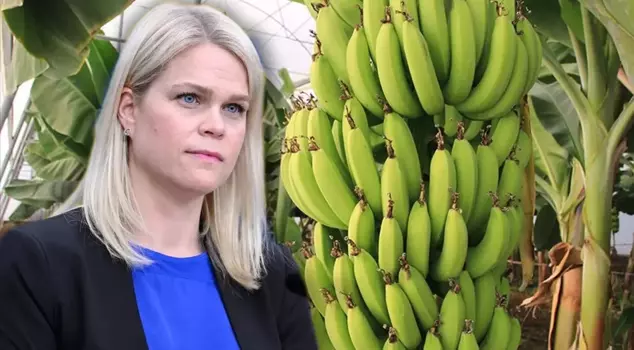 The minister's fear of bananas has stirred up the country in Sweden.