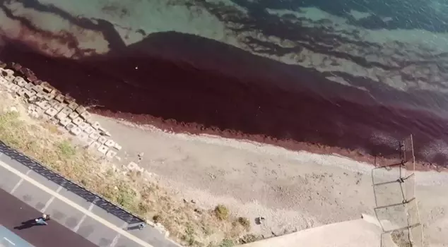 The shores of Tekirdağ turned red.