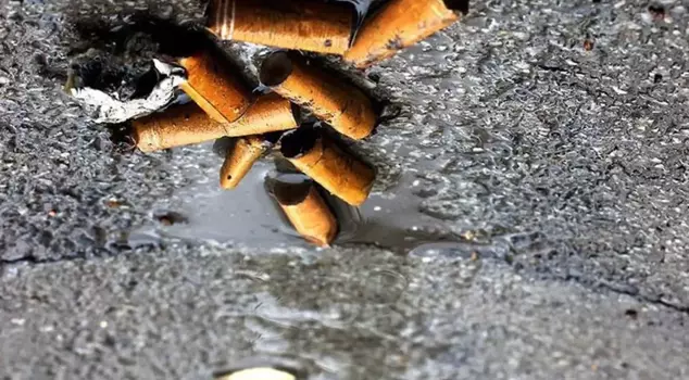 Littering or throwing cigarette butts on the ground will result in penalties.