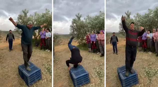 The fashion show performed by the olive grove workers accompanied by music will warm your heart.