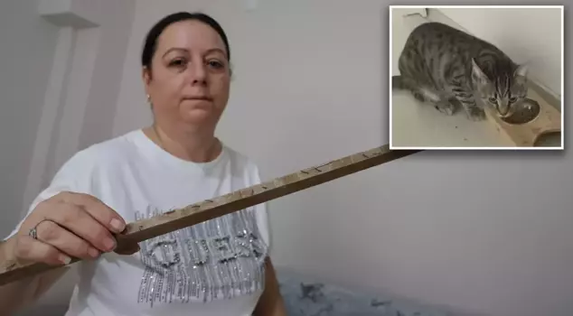 In Izmir, a landlord assaulted his tenant with spiked clubs, saying, 