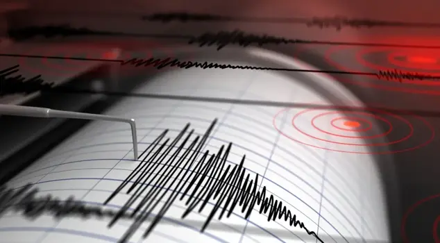 A 4.6 magnitude earthquake in the Doğanşehir district of Malatya.