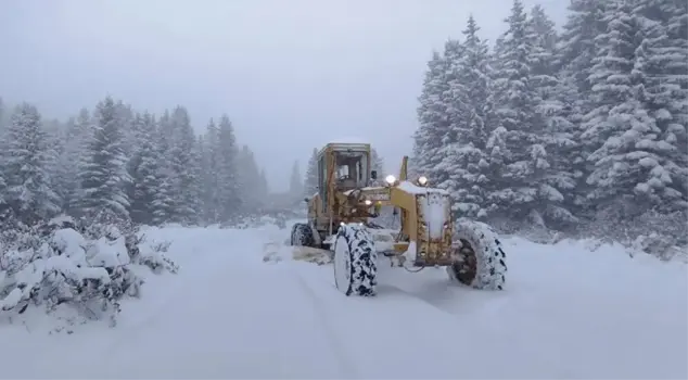 In Ordu, the snow is impassable: 4 people trapped are being searched for.