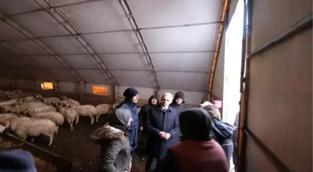 Nearly 400 sheep perished in a snowstorm in Karaman.