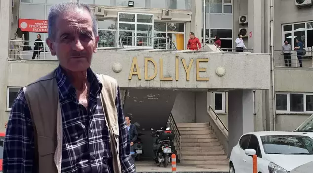 In the decapitation murder case in Zonguldak, the instigator turned out to be the aunt.