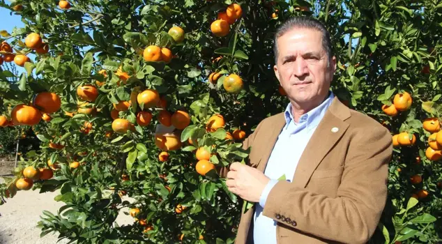 Slovakia rejected the export due to pesticide residues in the mandarins.