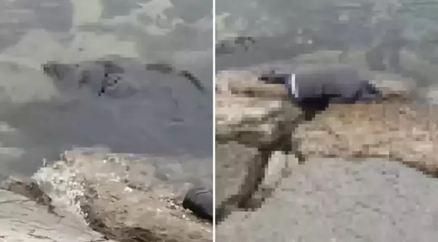 The lifeless bodies of two individuals who had been shot in the head washed up on the shore in Istanbul.