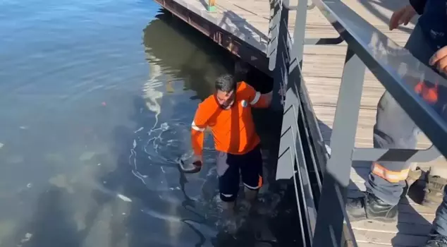 The municipal staff jumped into the icy water for the Turkish flag that fell into the sea.