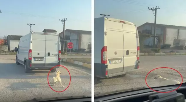 He tied the dog to the back of the minibus with a rope and pulled it.