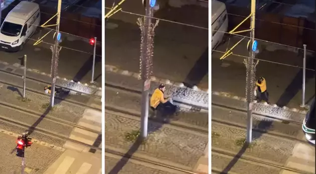 The tram driver interrupted the pleasant nap on the tram tracks.