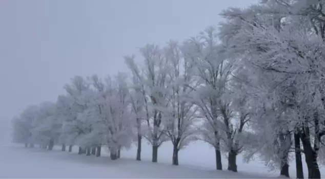 The Tekman district of Erzurum has become the coldest place in Turkey.