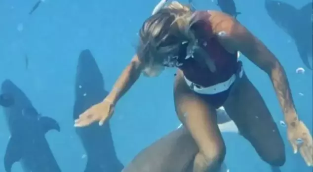 The woman diver who was attacked by a shark was seriously injured.