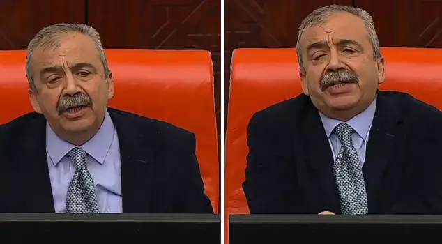 Tension rose in the Turkish Grand National Assembly, and Sırrı Süreyya Önder lost his temper: 