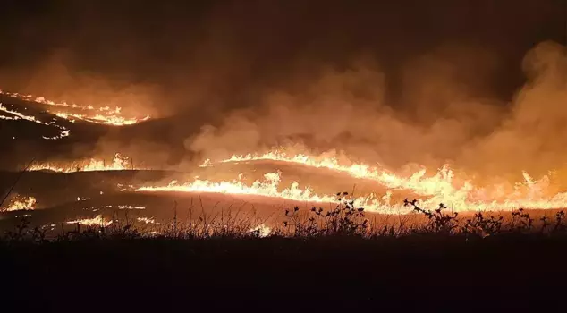 A report by the expert has been prepared regarding the fires in Diyarbakır and Mardin that caused the deaths of 15 people.