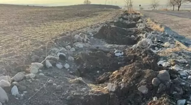 In Tunceli, the mulberry saplings planted by the municipality were stolen.