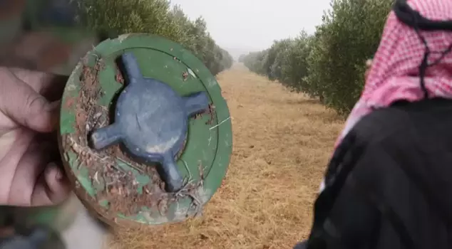 The PKK/YPG has planted hundreds of mines in the olive groves in Manbij.