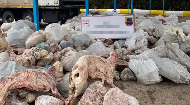 In the truck, nearly 6 tons of illegal meat were seized.