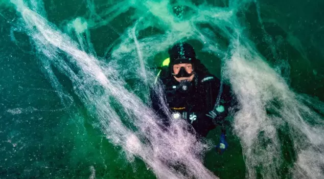 Scary statement for the Sea of Marmara: It has spread within 7 weeks.