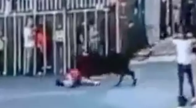 The angry bull gored the woman who wanted to cross the road, killing her.