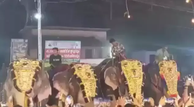 Elephant attack at festival in India: 17 injured.