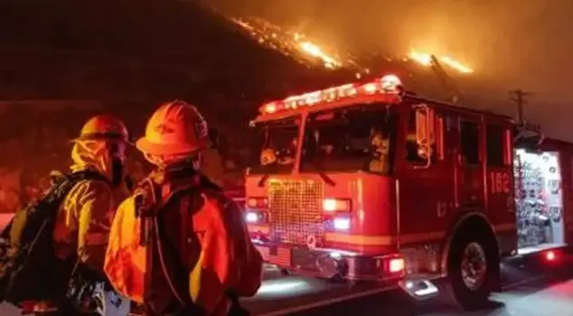 In Los Angeles, 29 people disguised as firefighters were arrested for looting.