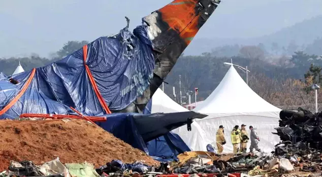 In the plane crash in South Korea, feathers and traces of blood were found.