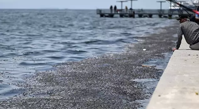 The prosecutor's office has taken action against those responsible for the pollution in the İzmir Bay.