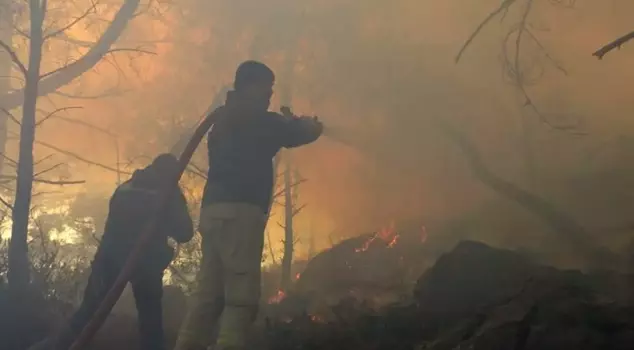 The downed high-voltage line caused a forest fire.