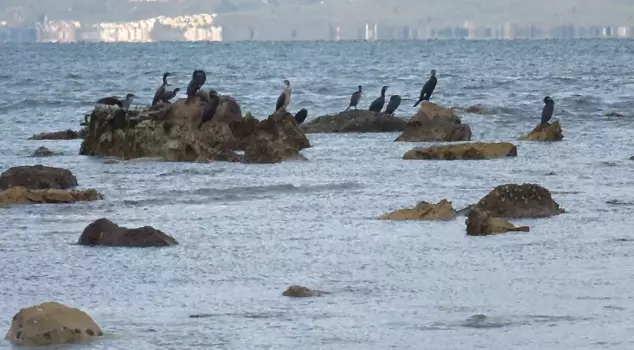 In Balıkesir, the sea receded, revealing a 2,500-year-old ancient harbor.