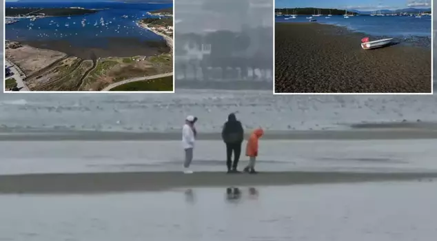 The seawater has receded in Istanbul and Izmir, and experts have made consecutive statements.