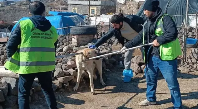 A rabid dog bit three people, and the area has been quarantined.