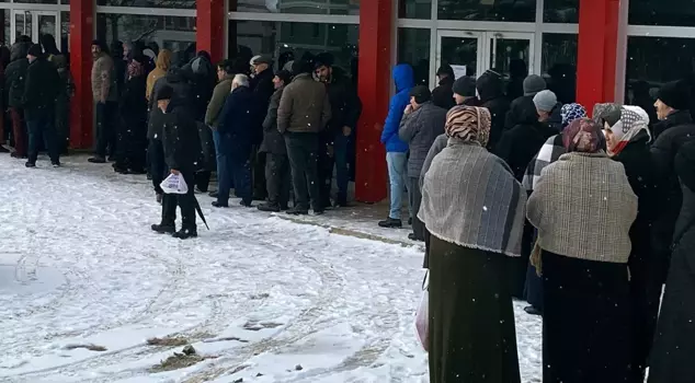 They waited for hours in the snow for cheap meat.