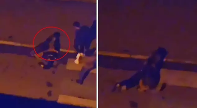 Moments of horror captured on camera! A stray dog grabbed the unfortunate woman by the throat.