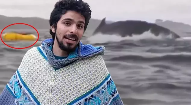 The young man that the giant whale swallowed and then spat out described what he saw inside.